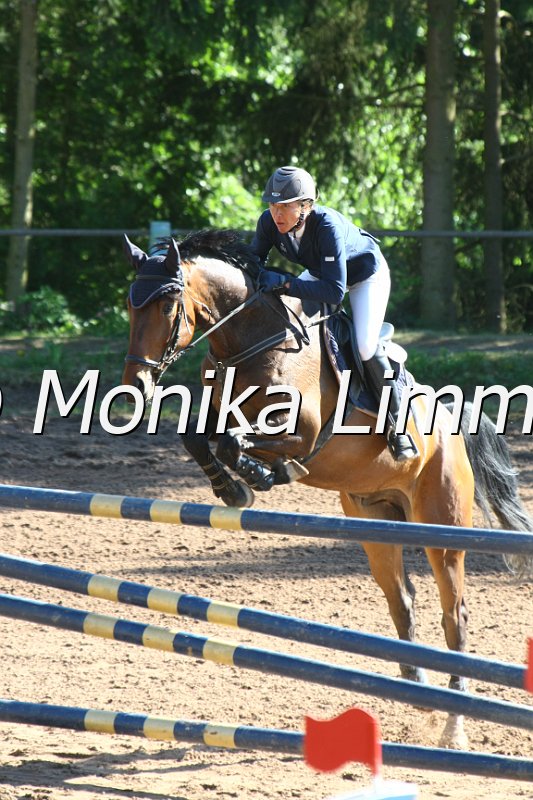 104M9021_Spring M_m.Stechen.JPG